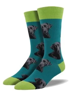 Chien Labrador ( Bas Socksmith )