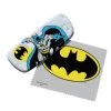 Dc Comics ( Étui à Lunettes ) Batman